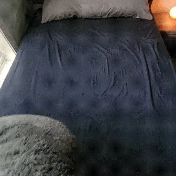 AstraEase Waterproof Couples Blanket for Stainproof Moments | Lersk