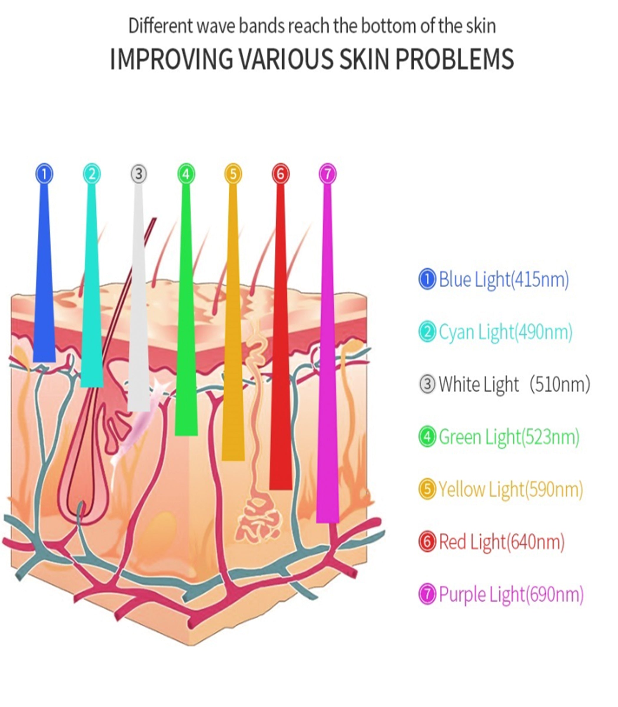 NovaLume Seven-Color LED Skin Therapy System for Home Spa | Lersk
