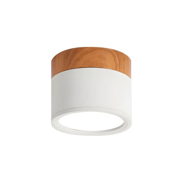 Lunara Nordic LED stropní svítidlo pro chodby a obývací pokoj | Lersk