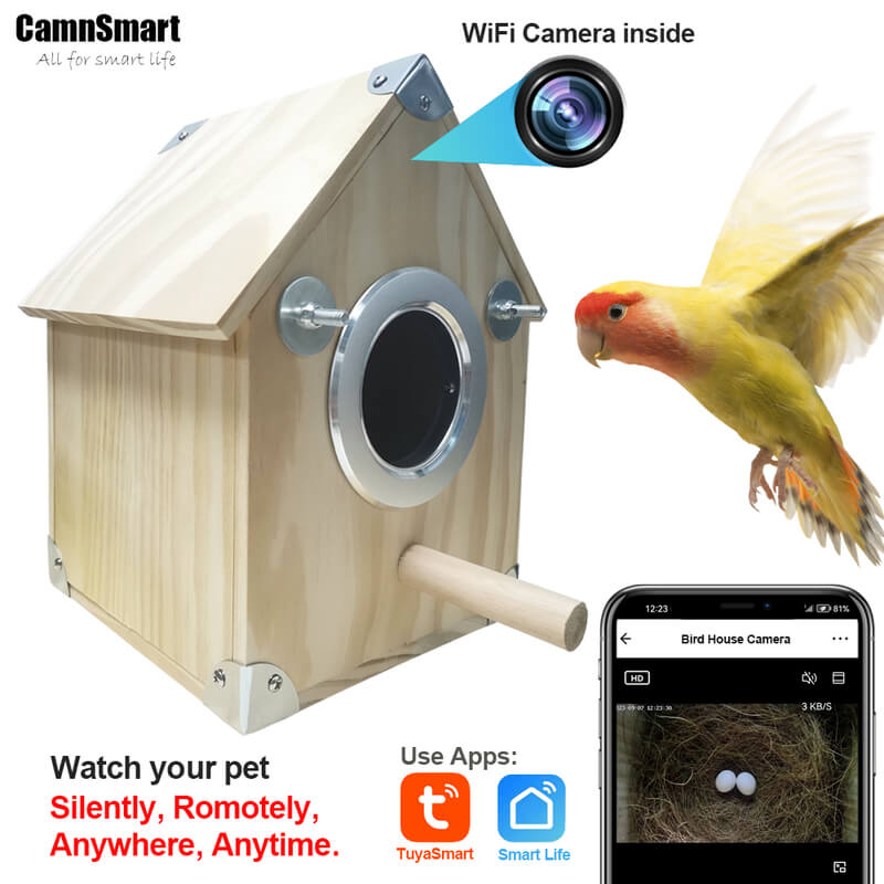 AvianVue Bird Nest Cam Feeder Box With 4MP Night Vision | Lersk