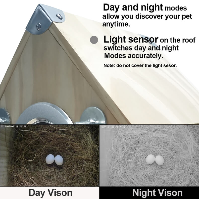 AvianVue Bird Nest Cam Feeder Box With 4MP Night Vision | Lersk
