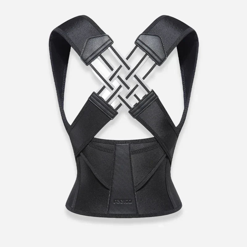 Ascenta Posture Support | Lersk