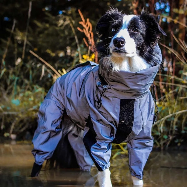 CozyPaws wasserdichter Hunderegenmantel mit Beinen für kleine bis XXL Hunde | Lersk