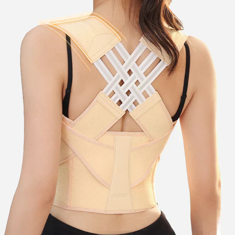 Ascenta Posture Support | Lersk
