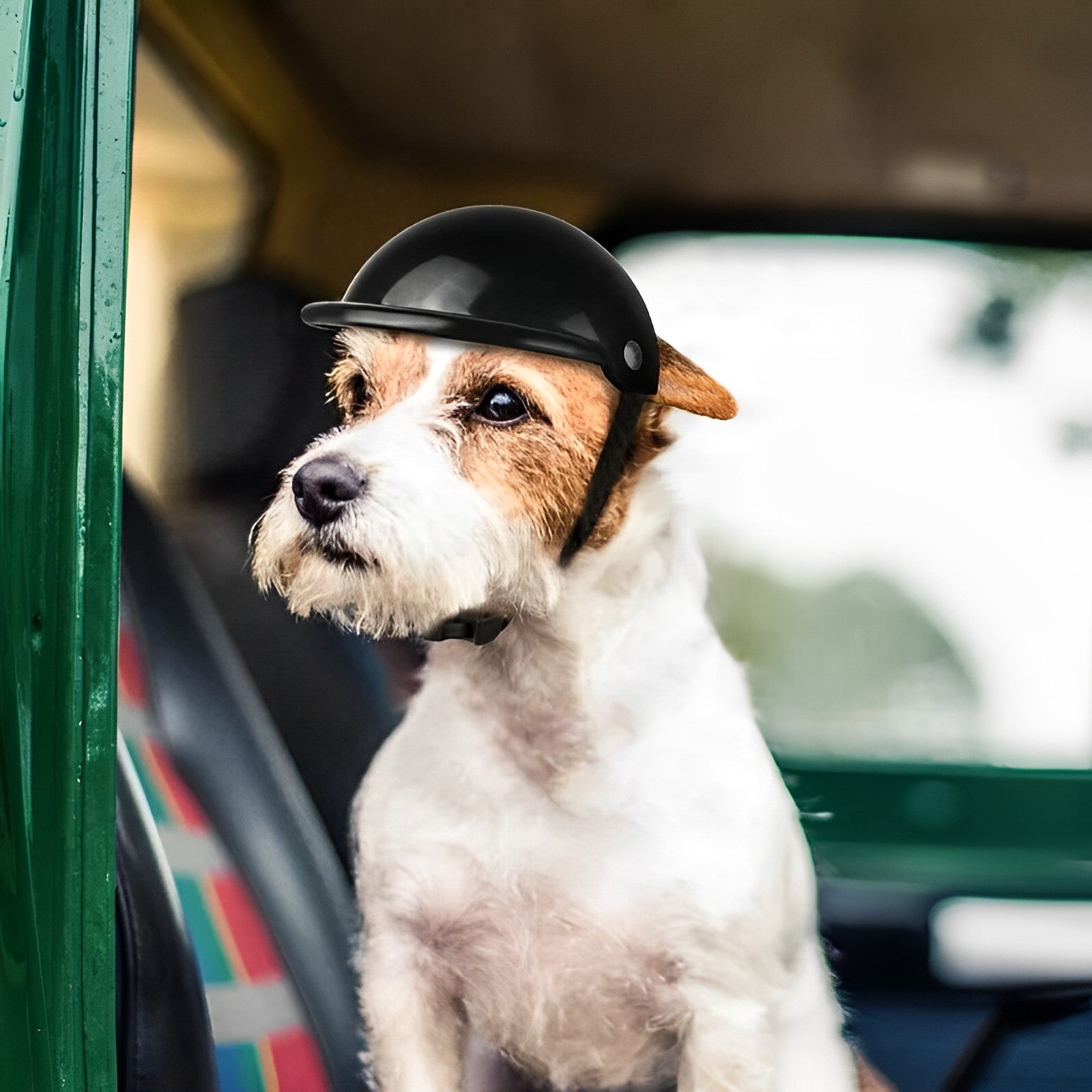 Casque et lunettes de moto TrailPup pour chiens, ajustement sûr pour la conduite | Lersk