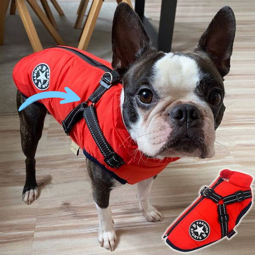 Pawhaven | Chaqueta para Perro | Lersk