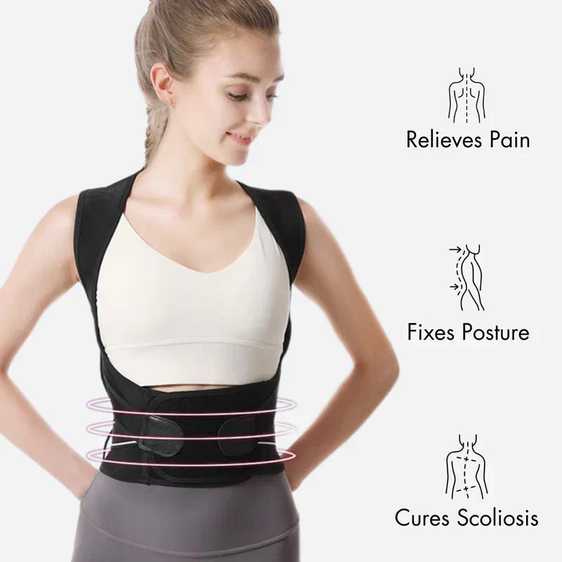 Ascenta Posture Support | Lersk