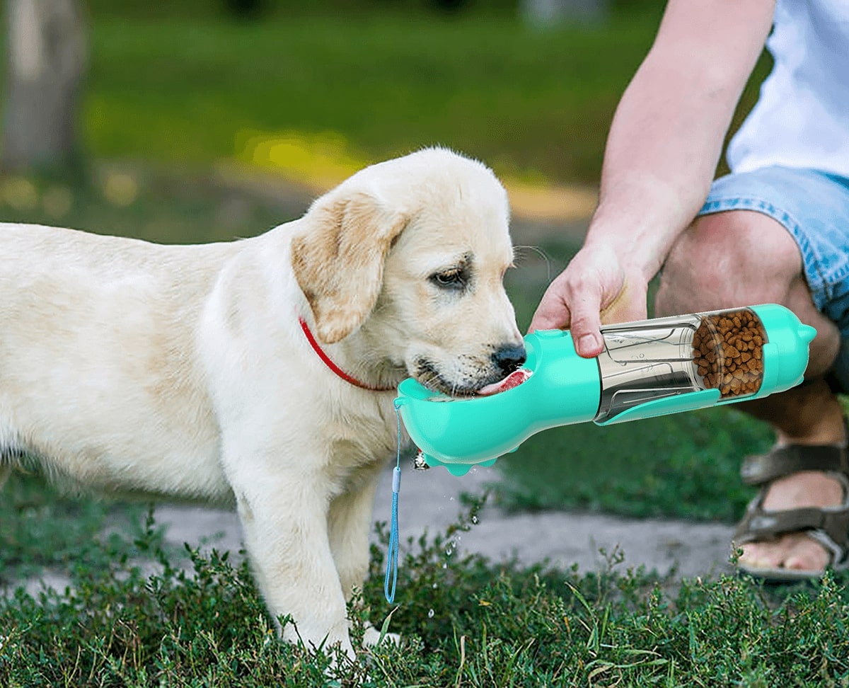 PawPal Travel Bottle for Dogs Compact Hydration On the Go | Lersk