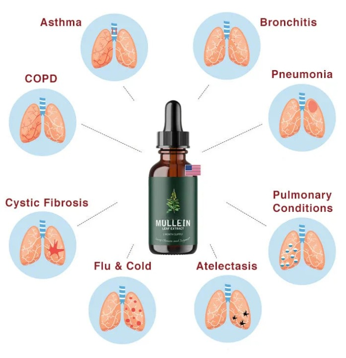 Mullein Chlorophyll Lung Support for Everyday Breathing - natural detox | Lersk