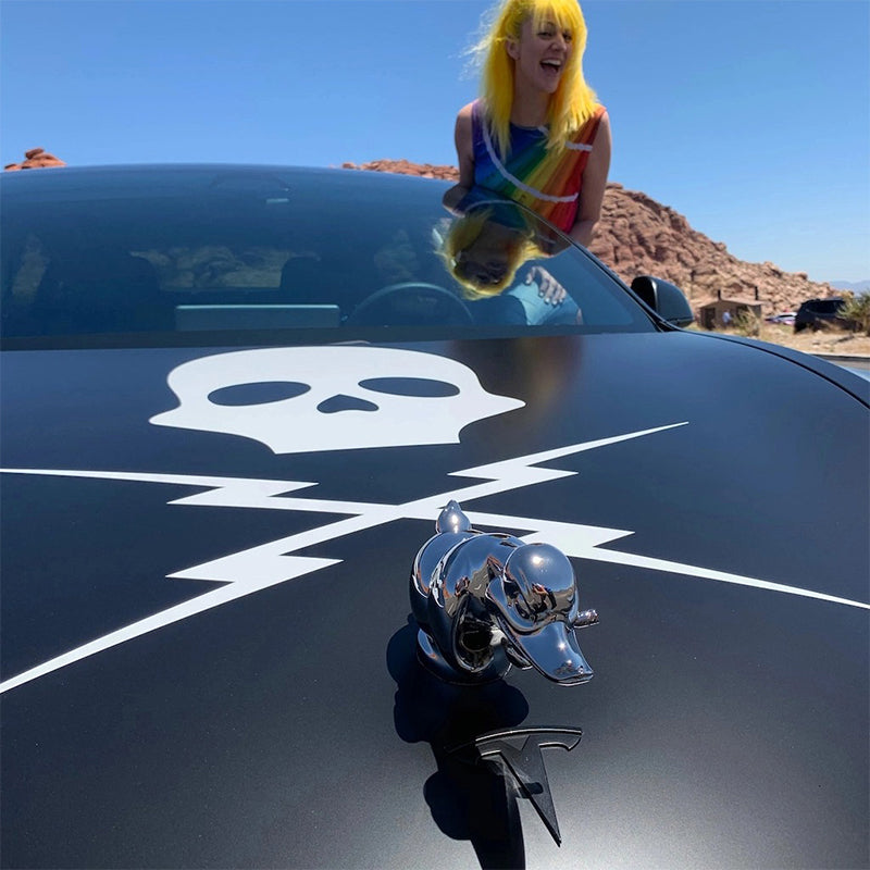 Ozdoba na kapotu Angry Rubber Duck, replika emblému chladiče pro vozidla inspirovaná ikonami Convoy a Death Proof | Lersk