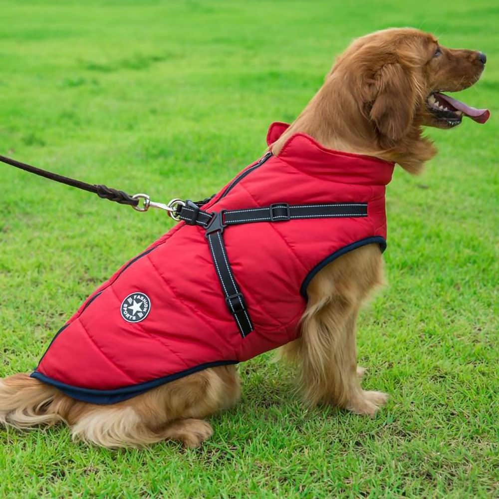 Pawhaven | Chaqueta para Perro | Lersk