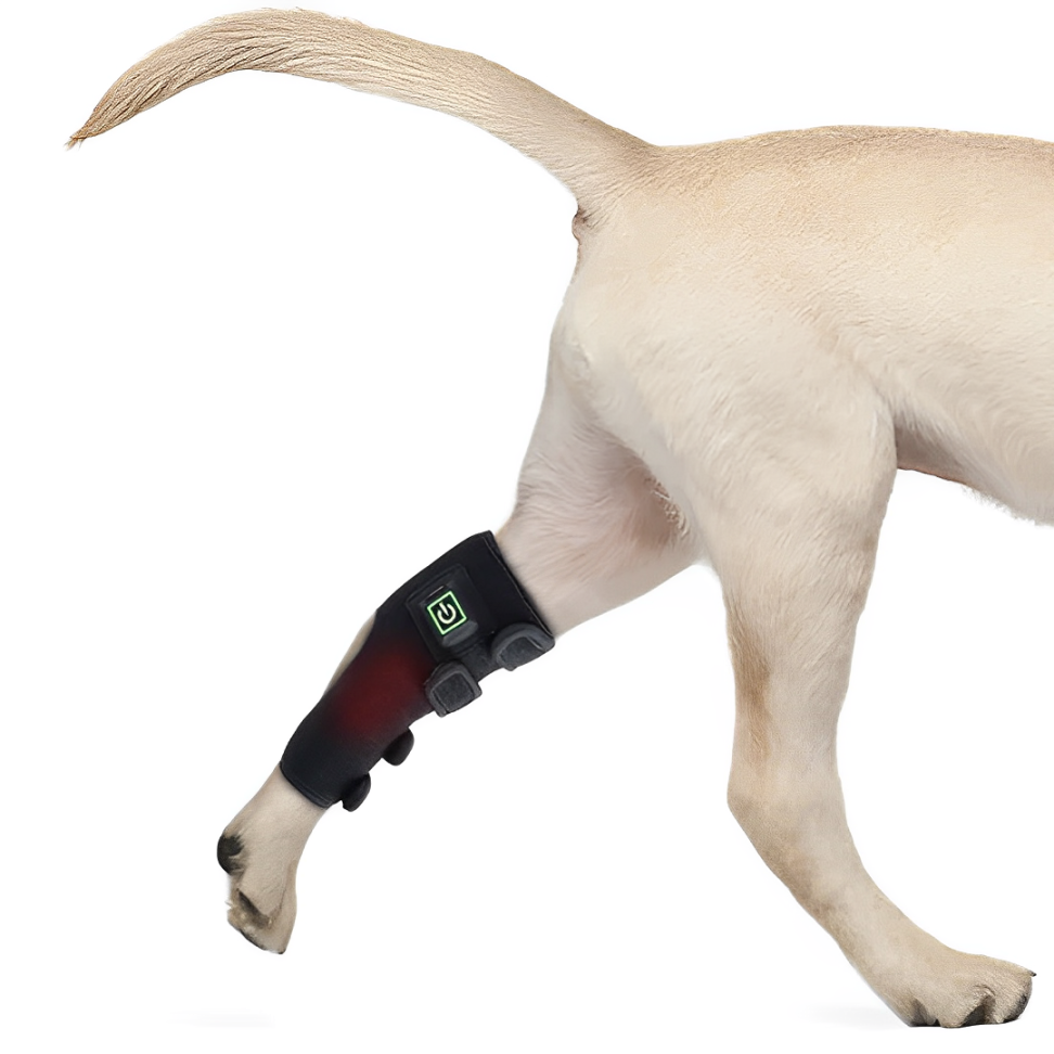 Red Light Therapy Belt For Pets For Dogs No EMF 3in1 | Lersk