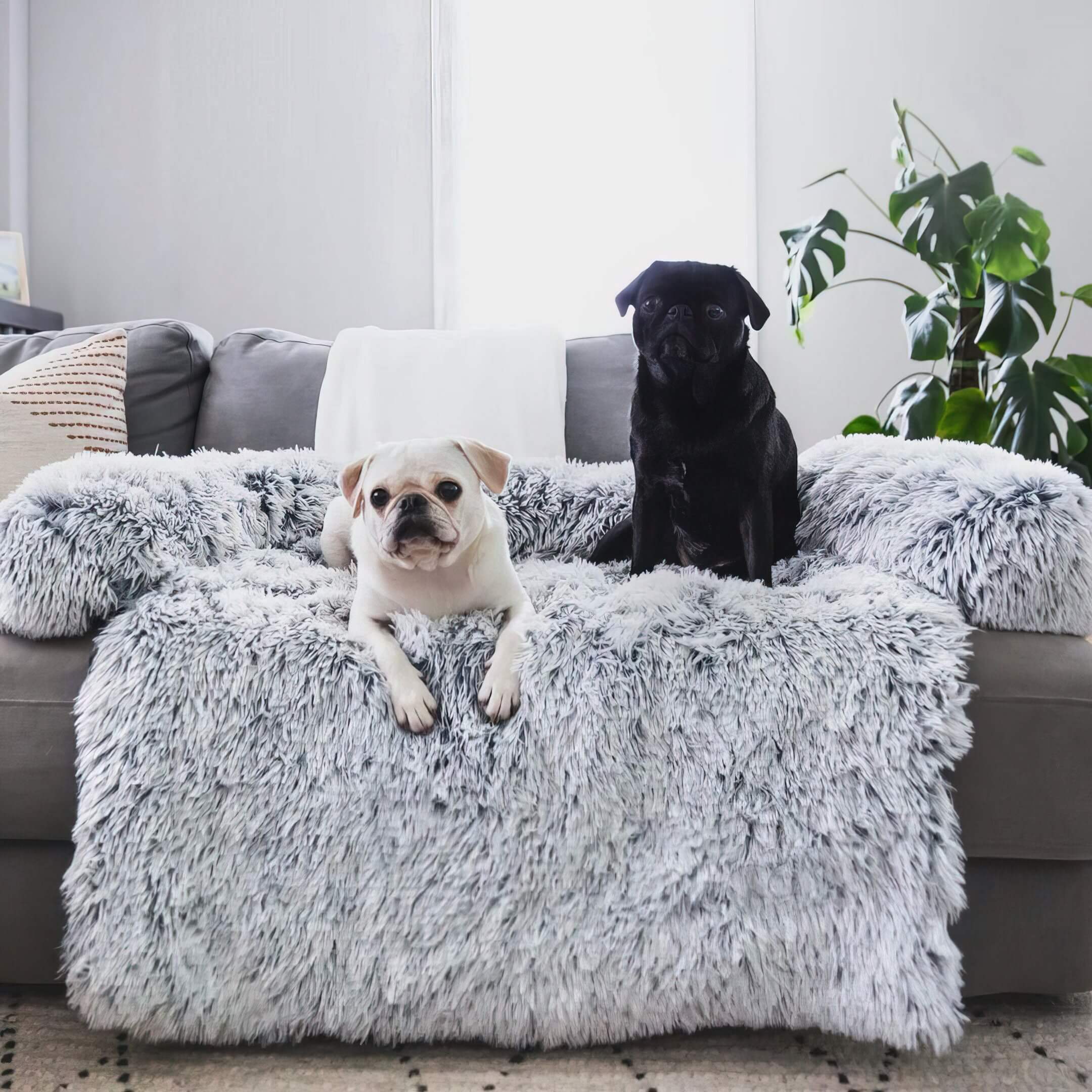 CloudGuard Sofabezug für Haustiere, haarresistent für Hunde und Katzen | Lersk