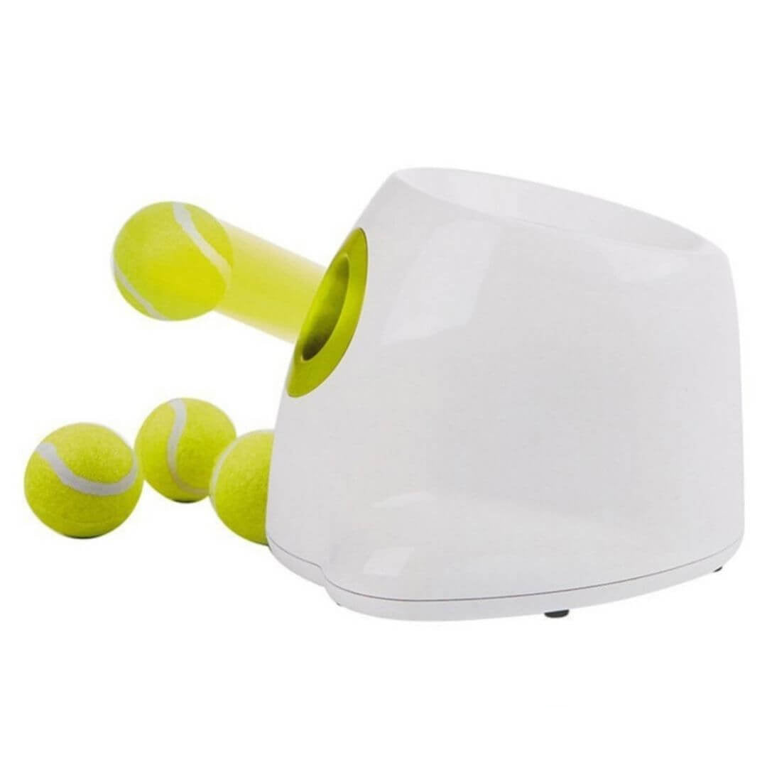 AuroraPup Auto Ball Launcher for Dogs - Fetch Master | Lersk