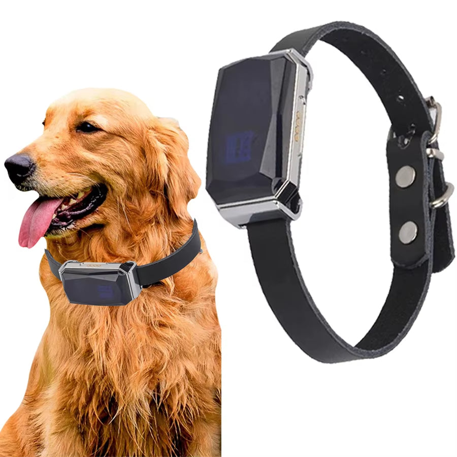 جهاز تحديد موقع طوق الحيوانات الأليفة PawQuest GPS لجميع السلالات سهل الإعداد | Lersk