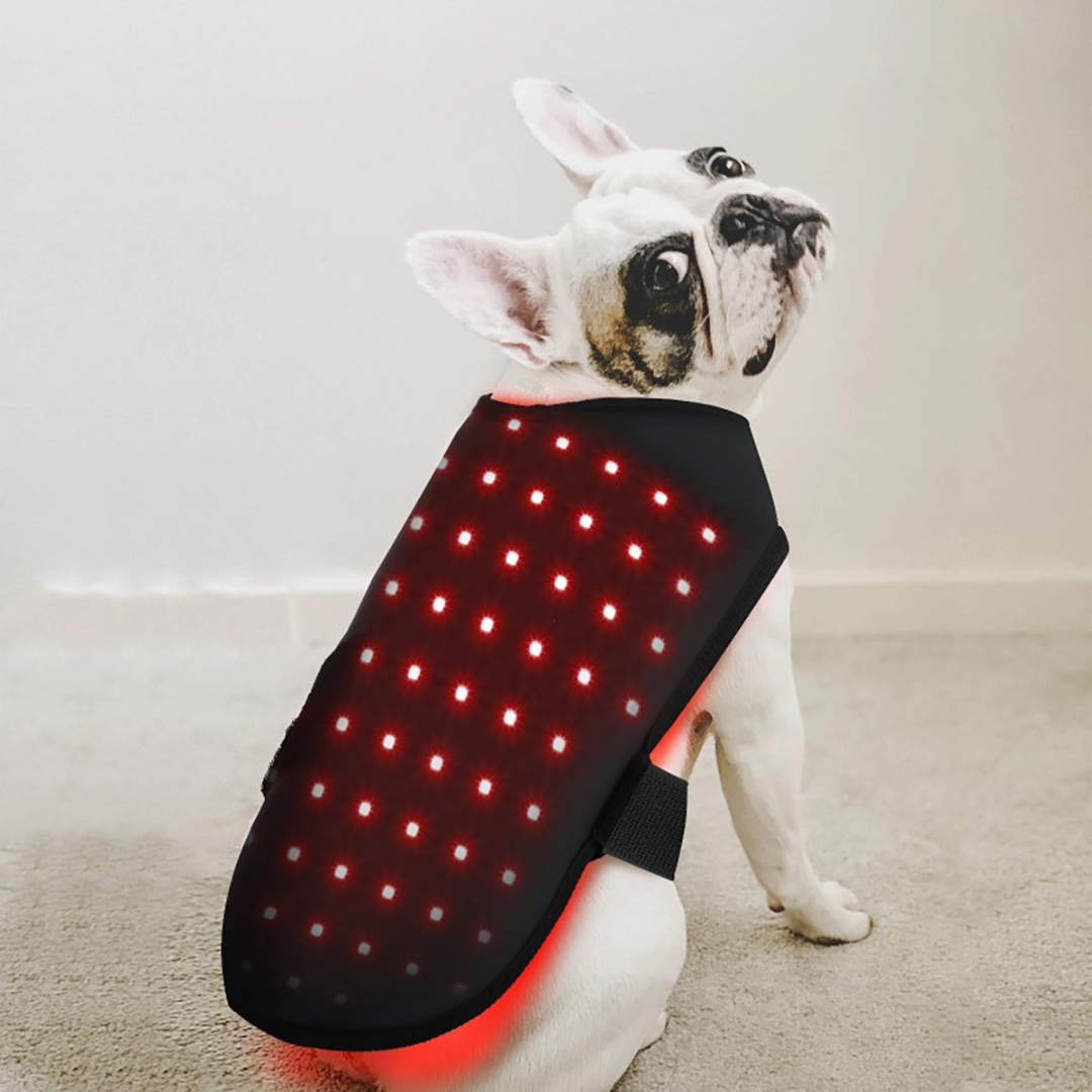 LumaCare Infrared Therapy Belt for Pets Pain Relief and Soft Tissue Support | Lersk