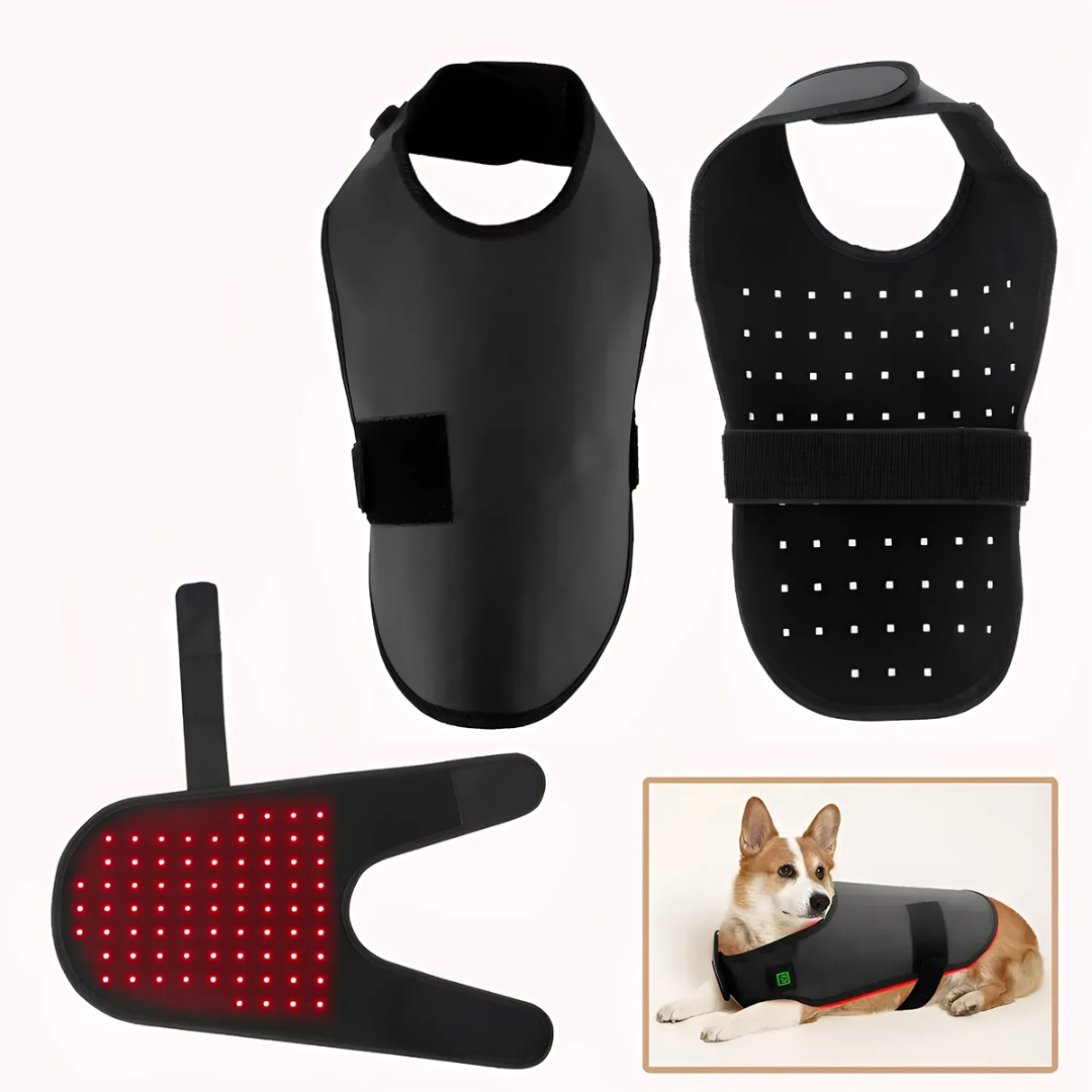 LumaCare Infrared Therapy Belt for Pets Pain Relief and Soft Tissue Support | Lersk