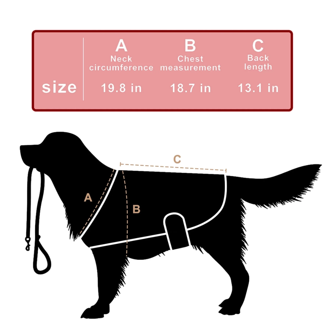 LumaCare Infrared Therapy Belt for Pets Pain Relief and Soft Tissue Support | Lersk