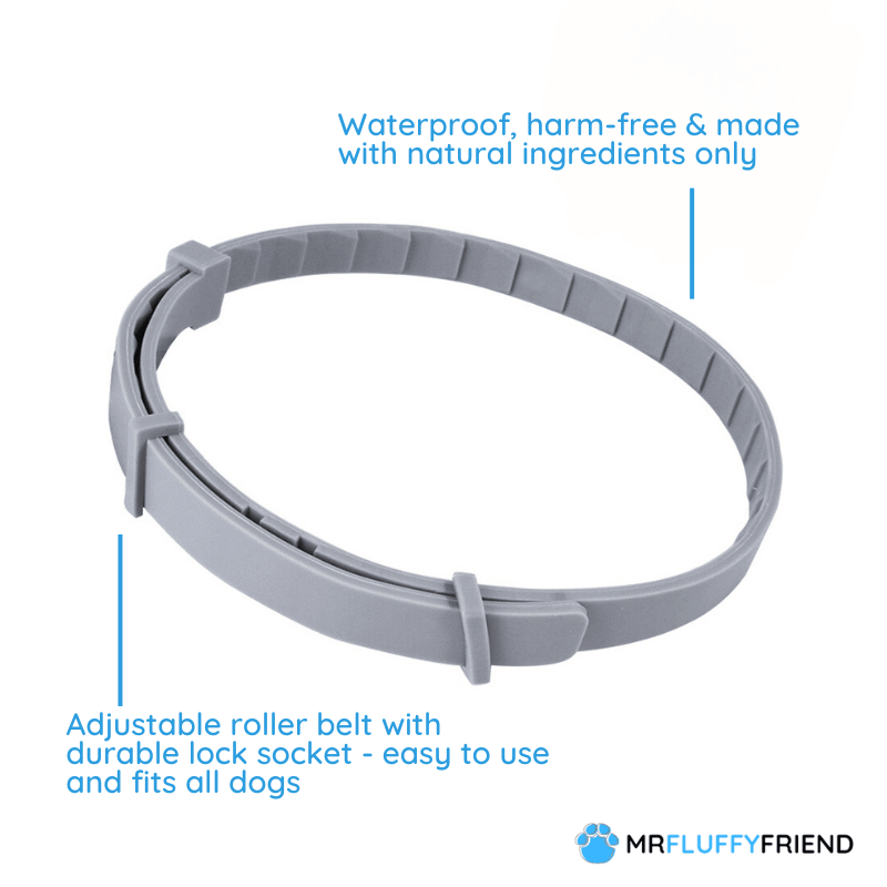 Collare PawSafeGuard | Prevenzione di pulci e zecche per cani | Lersk