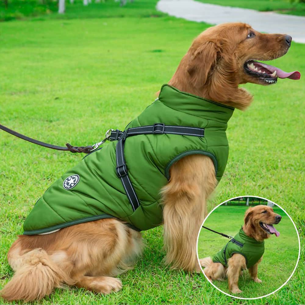 Pawhaven | Chaqueta para Perro | Lersk