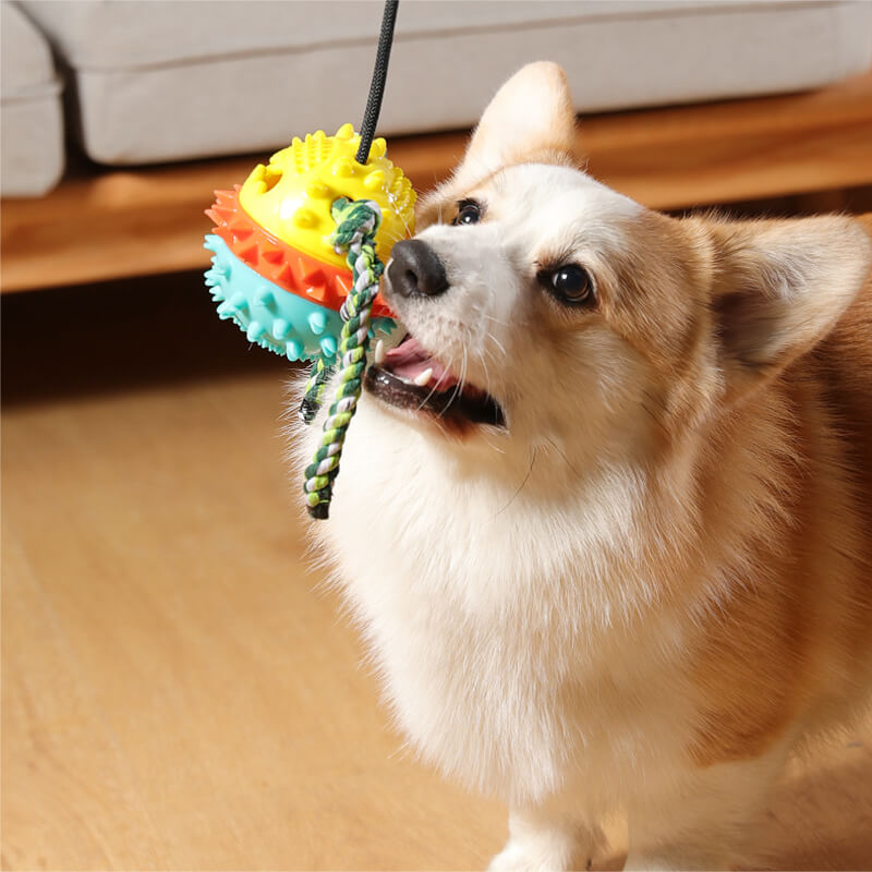 Zabawka dentystyczna Canine Smile dla psów – pomoc w czyszczeniu zębów | Lersk