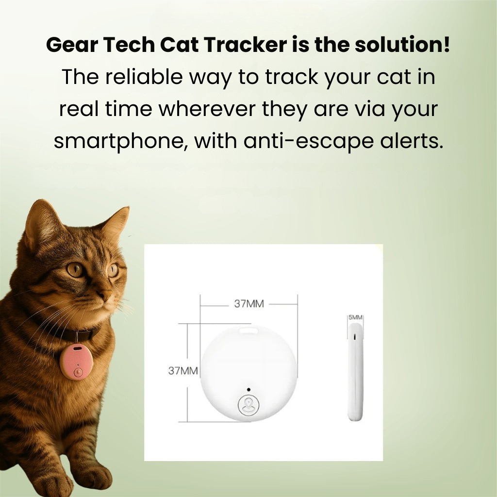 PawTrail GPS lokalizator dla kota, lekki, wodoodporny, w czasie rzeczywistym | Lersk
