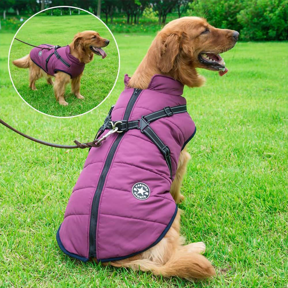Pawhaven | Chaqueta para Perro | Lersk