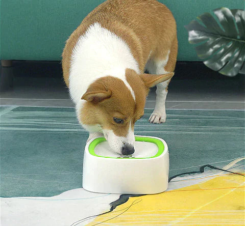 Dispenser d'Acqua Igienico PawPure per Animali per un'Idratazione Pulita | Lersk