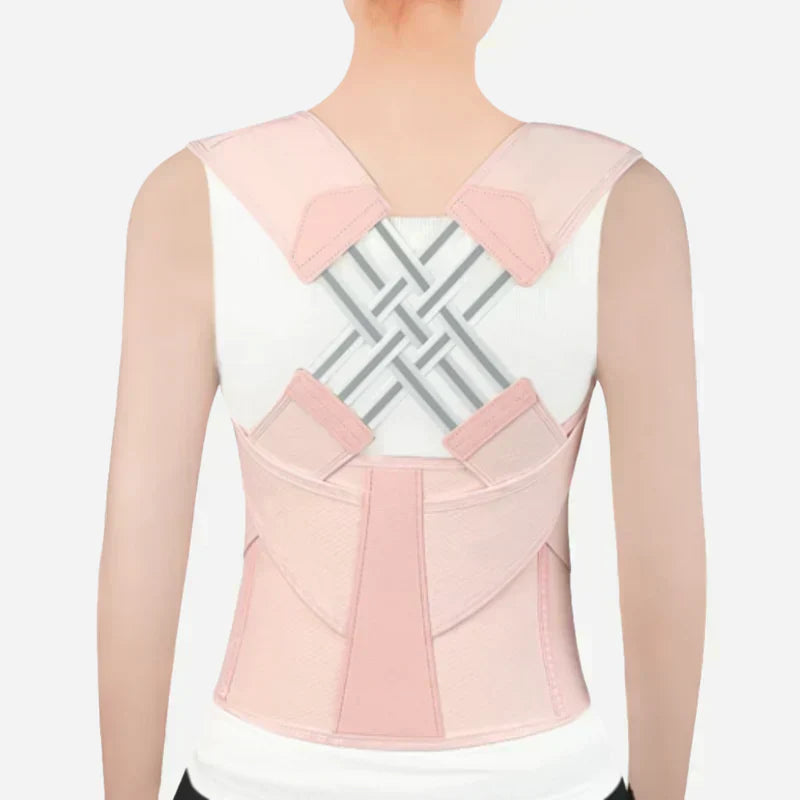 Ascenta Posture Support | Lersk