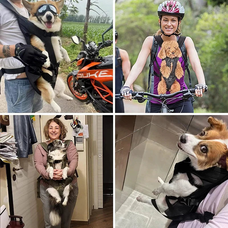 Zaino porta-cane LumaTrail con vista frontale per attività all'aperto | Lersk