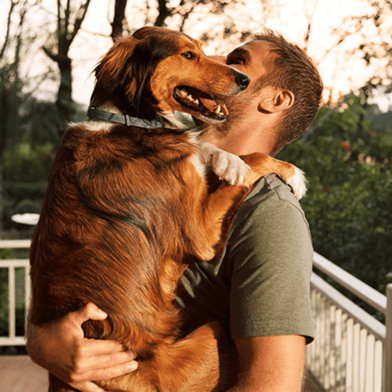 Collare PawSafeGuard | Prevenzione di pulci e zecche per cani | Lersk
