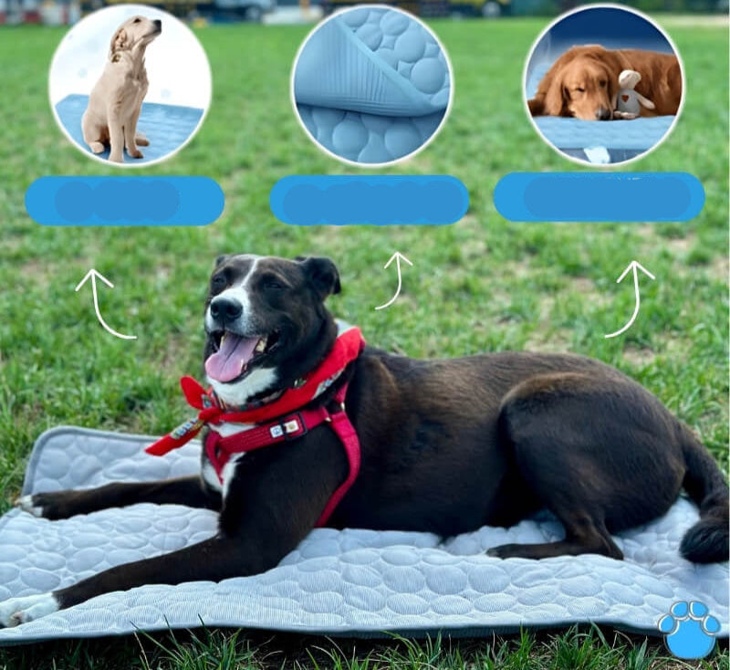 Chladicí podložka CoolPaw Pro pro domácí bezpečné ochlazení zvířat | Lersk