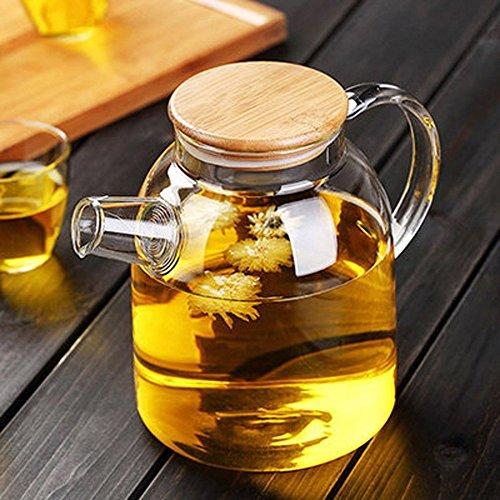 Teiera in vetro termico 54oz di Wilmax per amanti del tè, adatta per piano cottura | Lersk