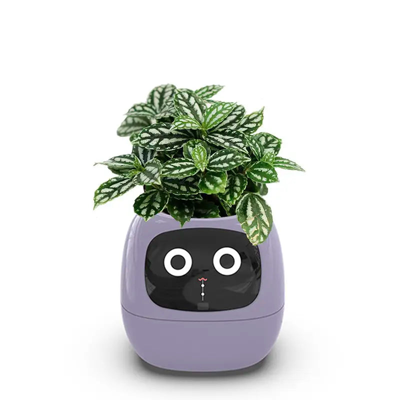 زرّاع ذكي مع مستشعرات، رعاية نباتات مدعومة بالذكاء الاصطناعي مع 7 مستشعرات لغرفة المعيشة | Lersk