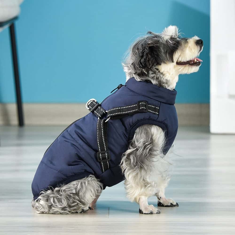 Pawhaven | Chaqueta para Perro | Lersk