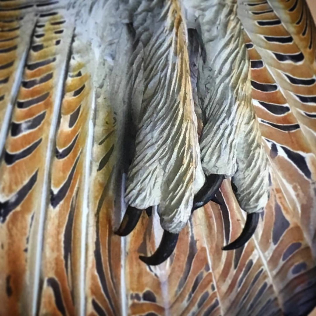 Great Owl Gaze In Artistic Edition Great Owl Gaze In Artistic Edition Great Owl Gaze In Artistic Edition | Lersk