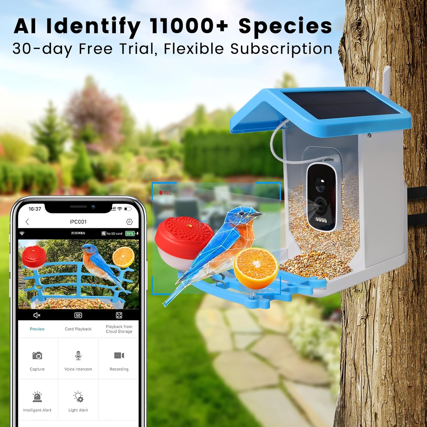 SolaraCam Solar Camera Bird Feeder for Outdoor Home Use | Lersk
