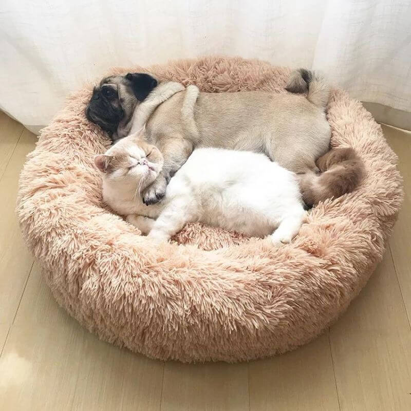 CalmPaws Cat Bed for Anxiety Relief and Everyday Comfort | Lersk