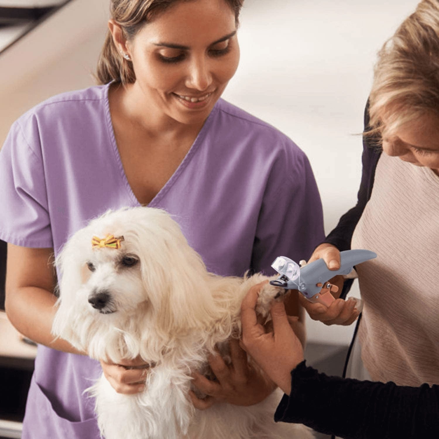 FurNest Vet Approved Dog Nail Clippers for Pain Free Care | Lersk