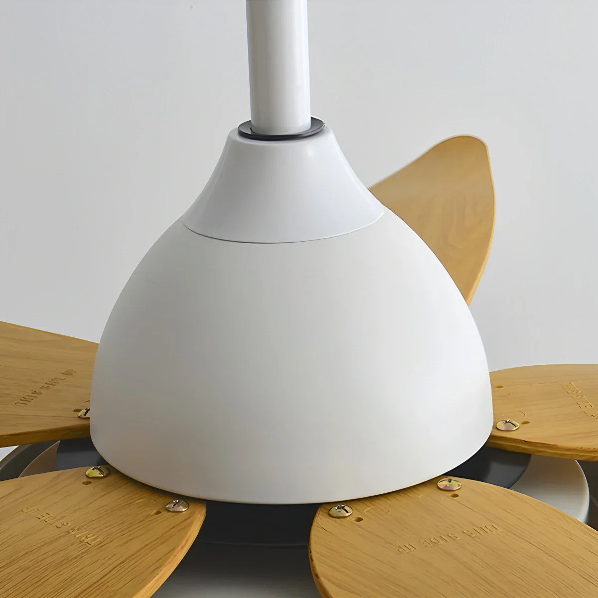 Ventilador de techo contemporáneo de 5 aspas con lámpara | Lersk