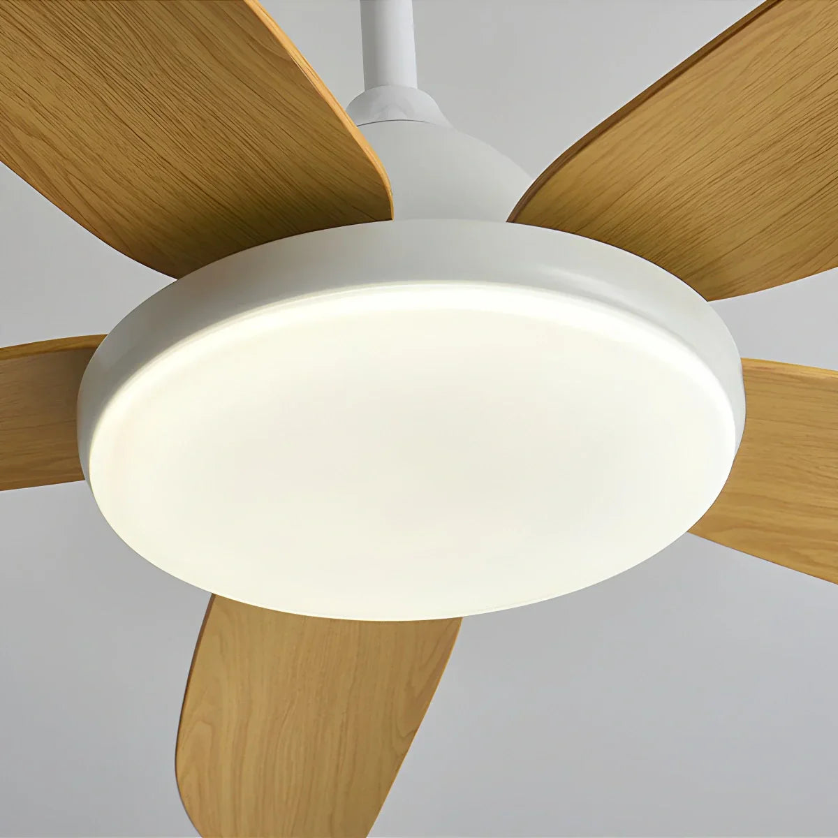 Ventilador de techo contemporáneo de 5 aspas con lámpara | Lersk