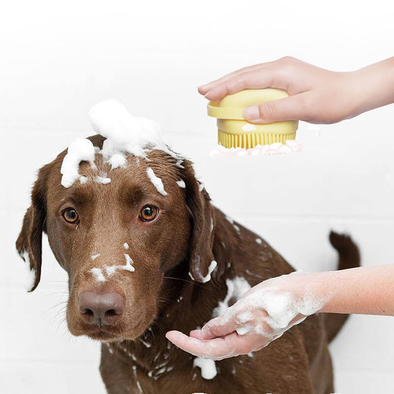Cozy Paws Comfort Bath Brush for Gentle Pets at Home | Lersk
