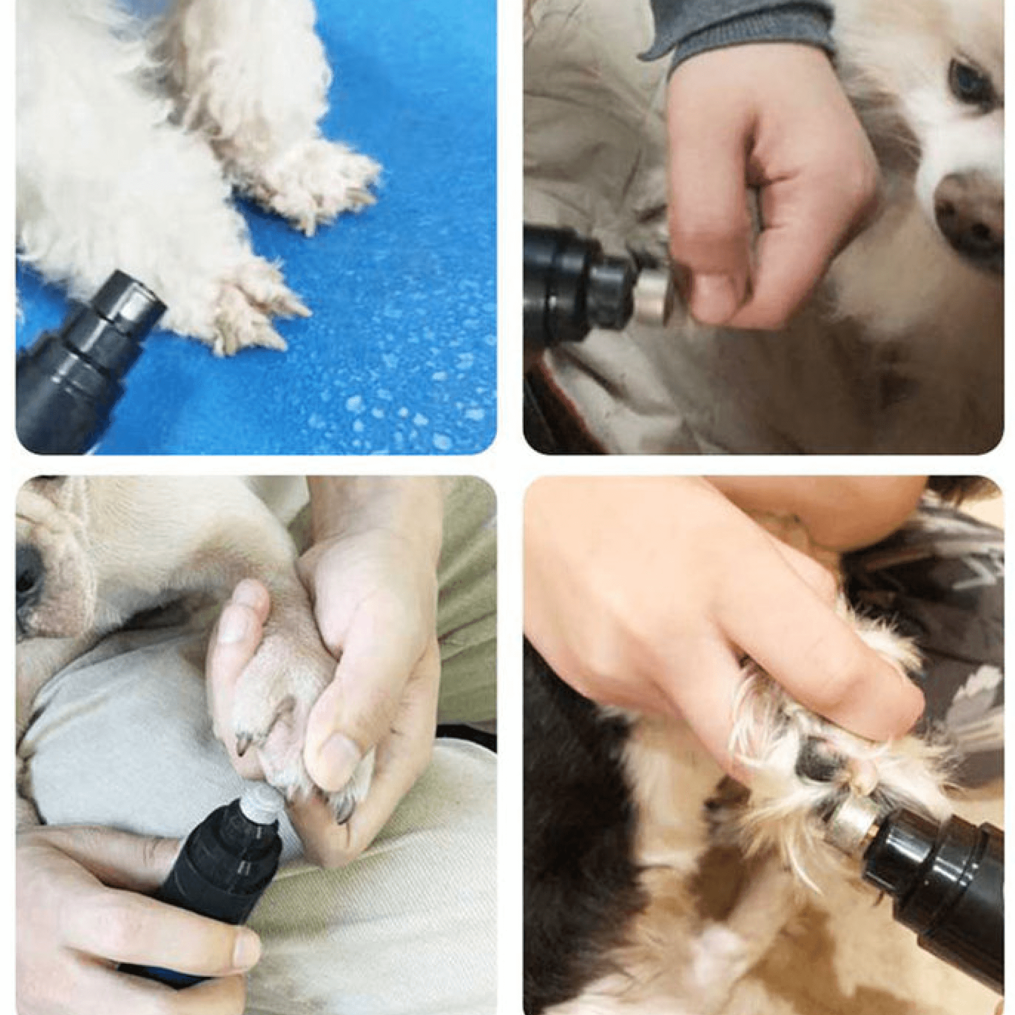 PawEase Quiet Electric Nail Grinder For Dogs And Cats | Lersk