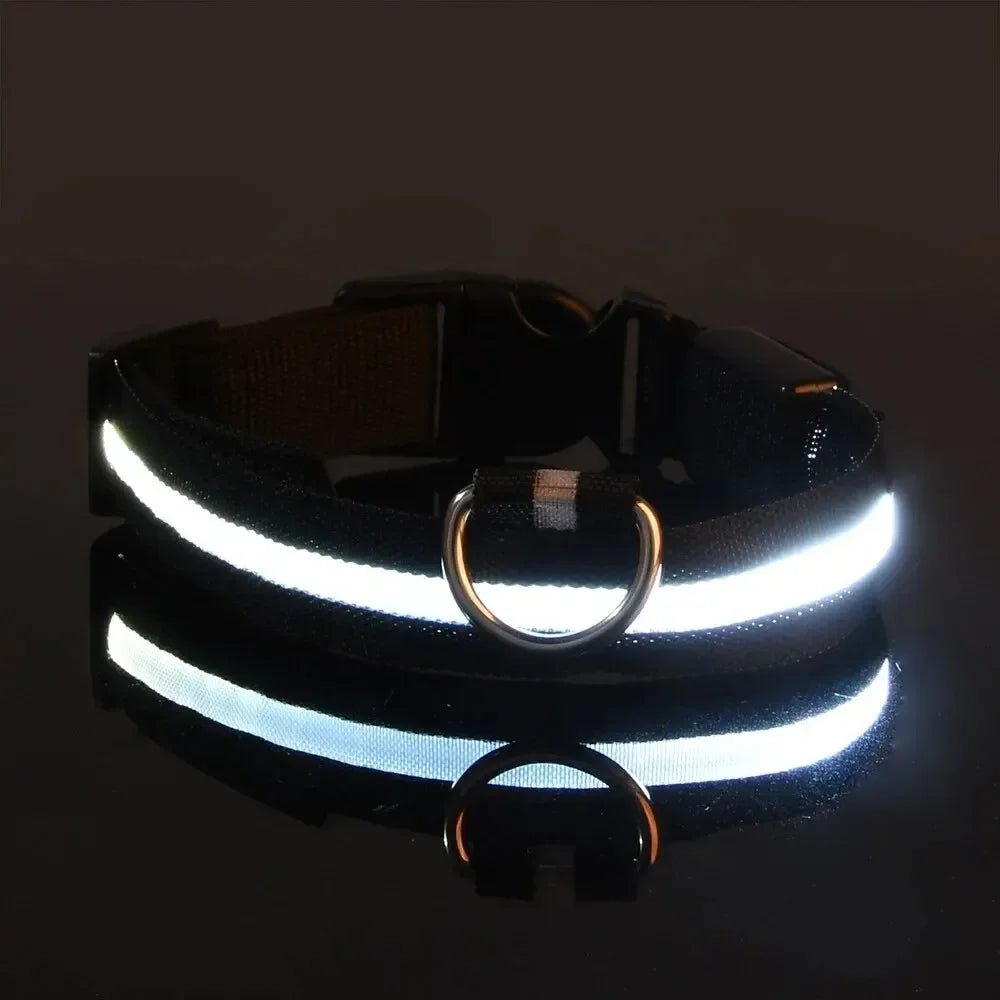 LED Safety Dog Collar With Adjustable Fit For Dogs, Enhancing Nighttime Visibility And Safety | Lersk