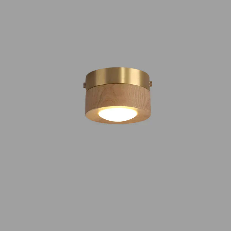 Lunaro Walnut LED Ceiling Lamp Warm Ambient Light For Homes | Lersk