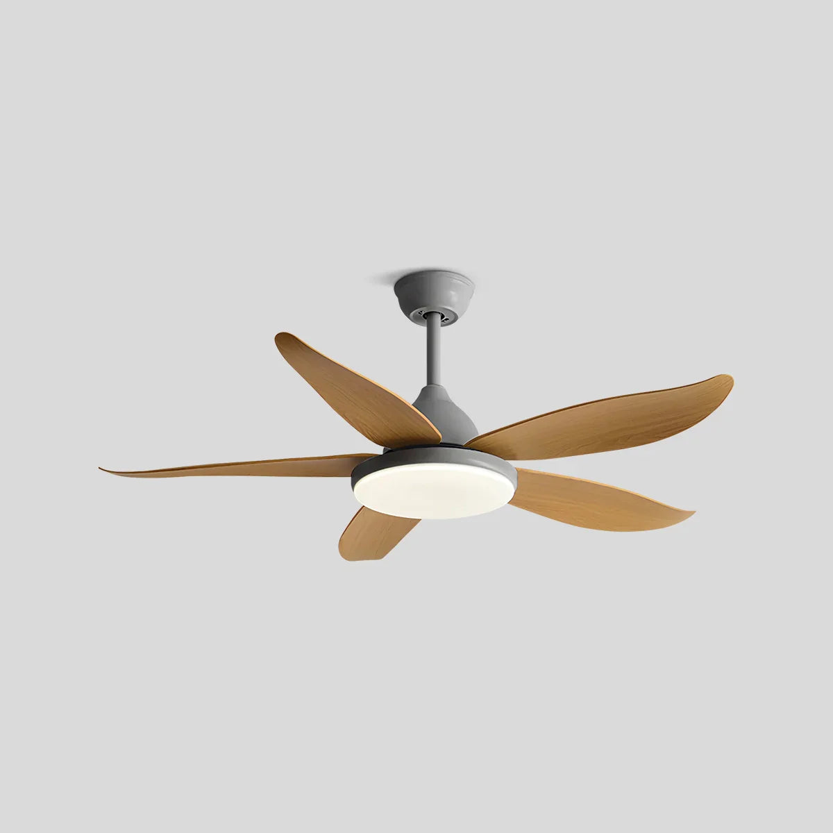 Ventilador de techo contemporáneo de 5 aspas con lámpara | Lersk