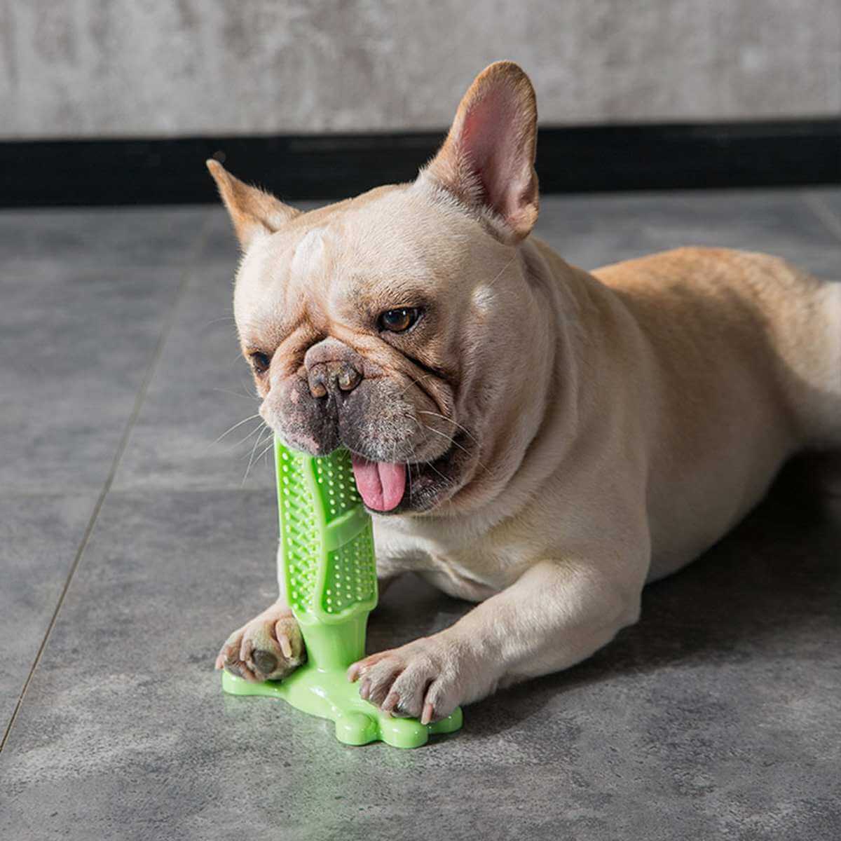 Gioco Dentale PawsBright per Cani - Masticare e Pulire i Denti | Lersk