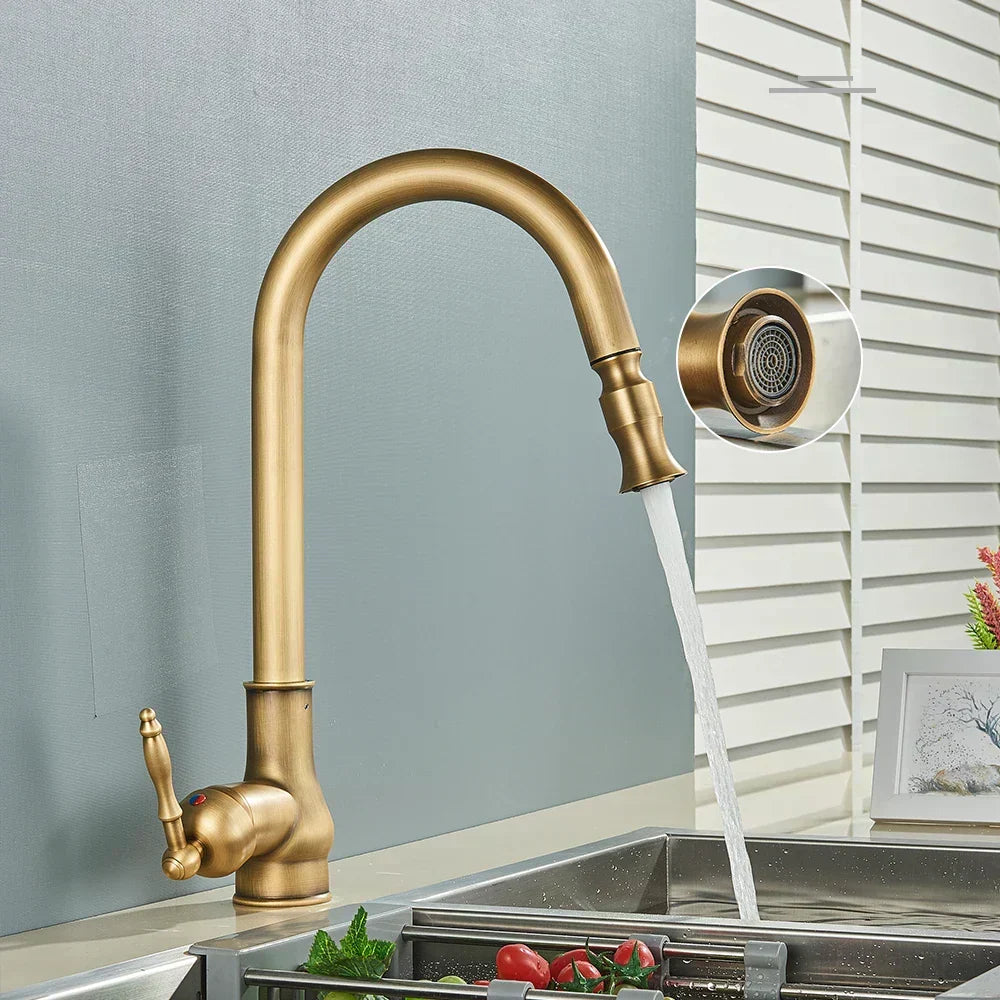 Norelle Antique Brass Swivel Kitchen Faucet With Black