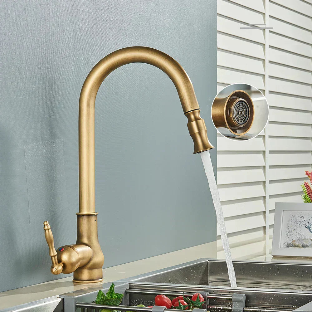 Norelle Antique Brass Swivel Kitchen Faucet With Black | Lersk