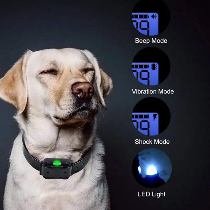 Kirrea Adjustable Waterproof Electric Dog Training Collar | Lersk
